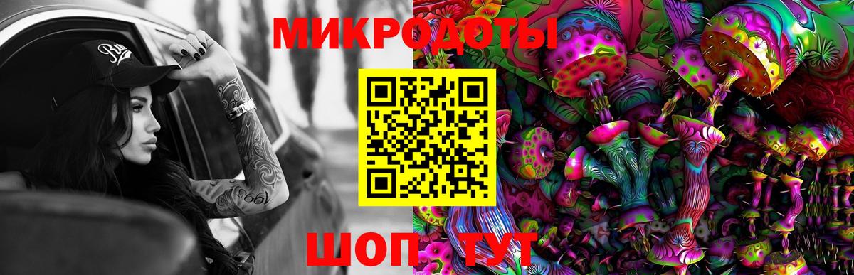 Галлюциногенные грибы MAGIC MUSHROOMS  Вход с VPN  Гудермес 