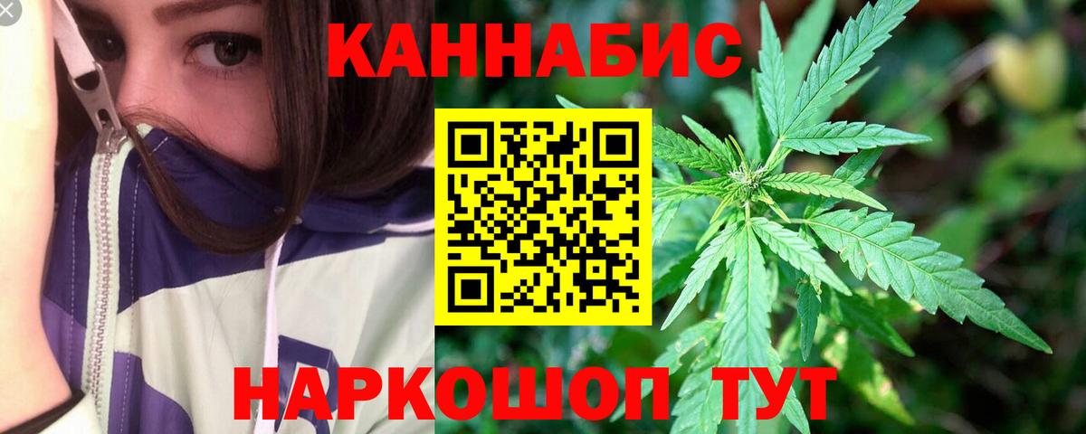 Конопля MAZAR Гудермес